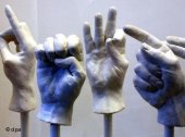 2010/06: НПО фонд - България