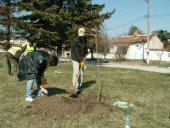 Volunteer Day Knezha